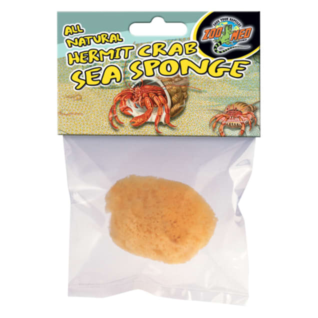 Awesome Aquatics 4-Pack of Jumbo Hermit Crab Sea Sponges (All Natural Hermit Crab Sponge)