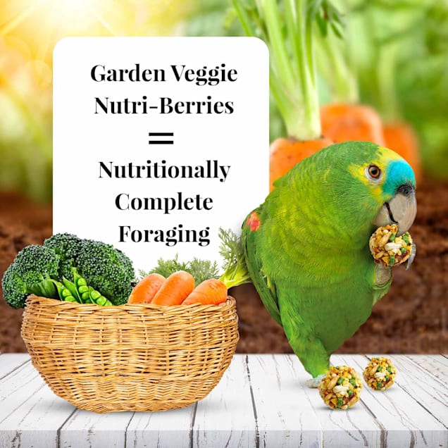 Nutri berries parrot food sales
