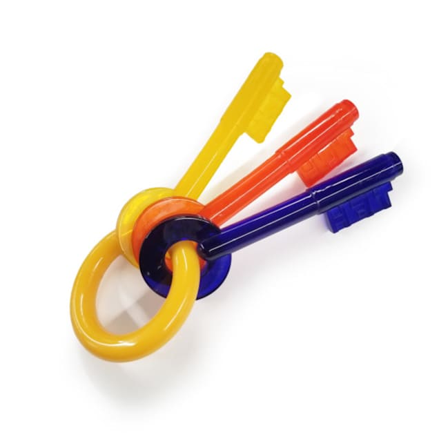 Nylabone Just for Puppies Teething Keys Chew Toy X Small Petco