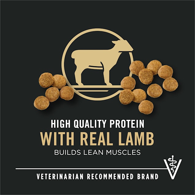 Purina Pro Plan Real Meat Lamb Rice Formula Dry Puppy Food 6 Lbs Petco