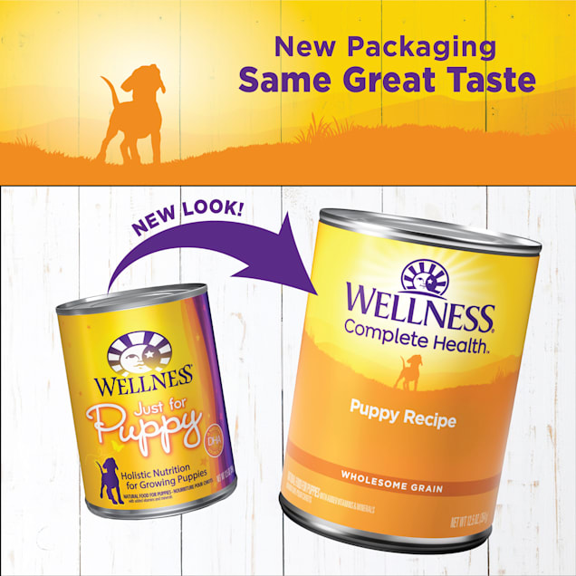 Wellness puppy food petco online