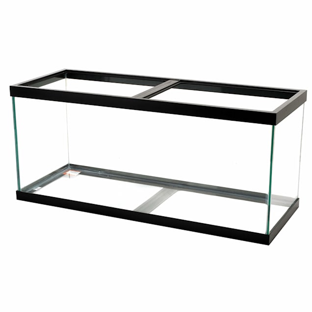 Gedeeltelijk genoeg stout Aqueon Standard Glass Aquarium Tank 75 Gallon | Petco