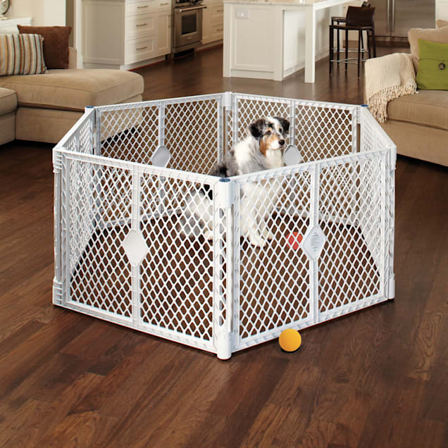 North states pet superyard xt 6 panel gate 2025