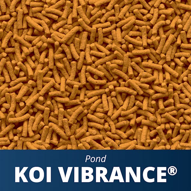 Tetra pond koi vibrance food top
