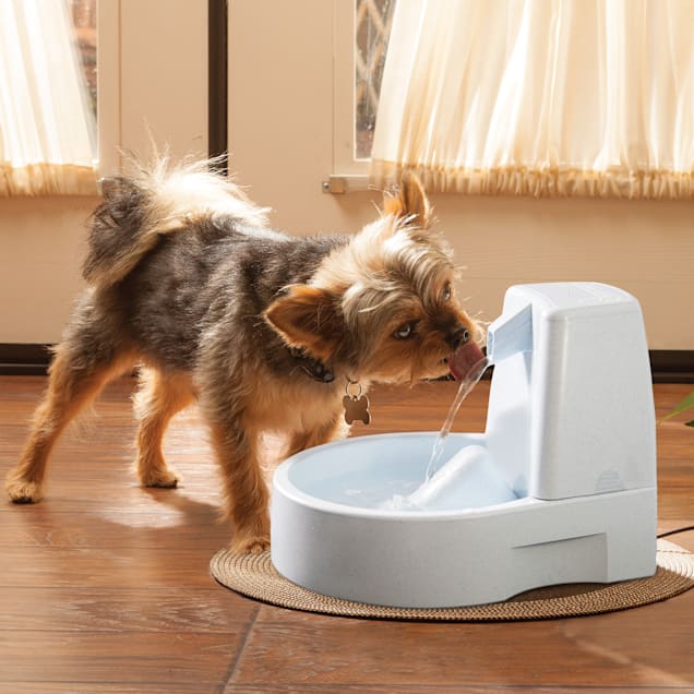 OWNPETS Ultra Quiet Cat Fountain Automatic Water Dish & Reviews