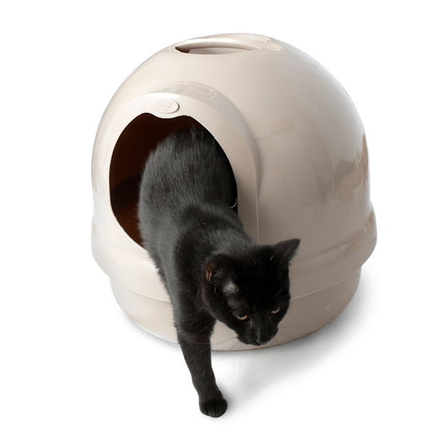 Booda Dome Covered Litter Box in Titanium Petco