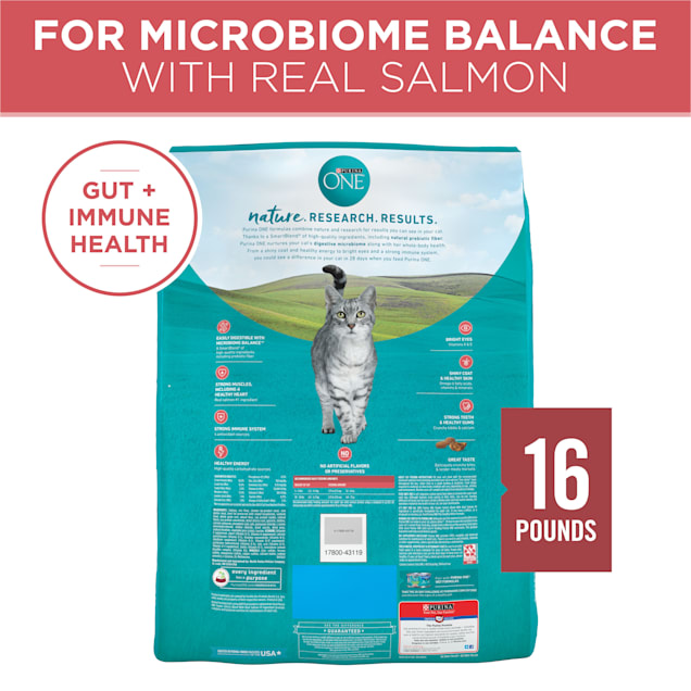 Purina ONE Tender Selects Blend With Real Salmon Natural Dry Cat Food 16 lbs