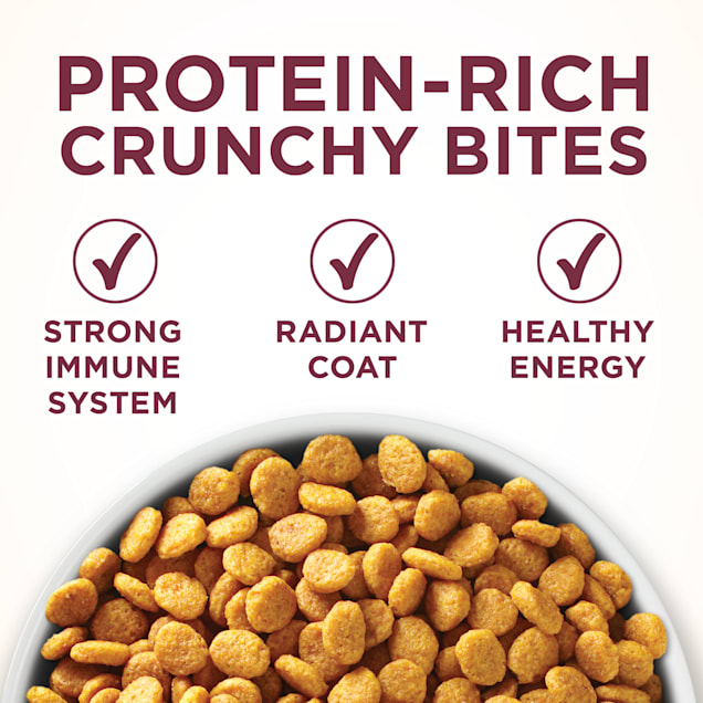 Best dry cat food for urinary tract health deals