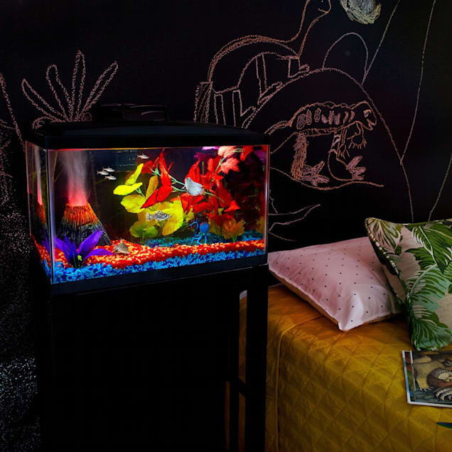 Aqueon 10 gallon kit hot sale