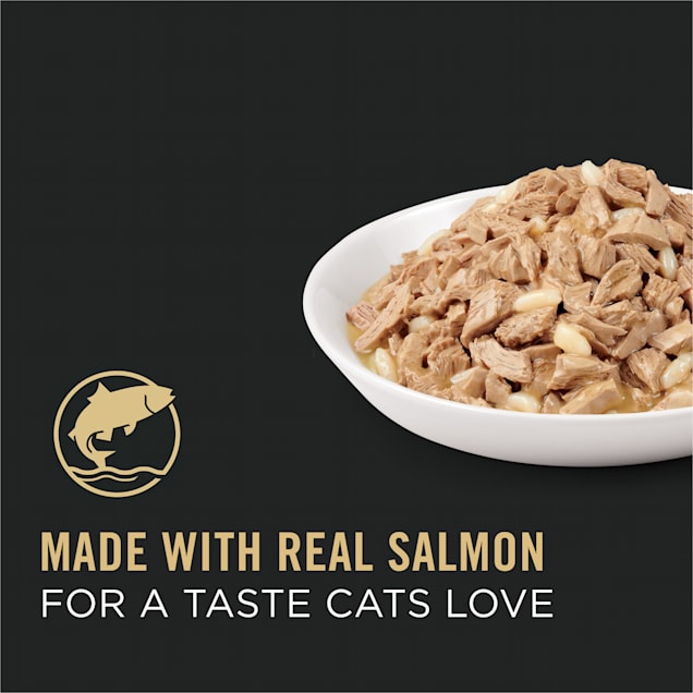 Proplan salmon petco hot sale
