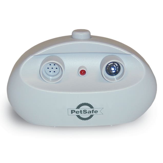 Petco stop dog barking best sale