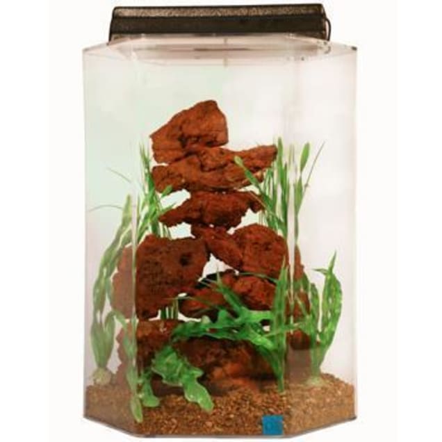 seaclear 20 gallon deluxe hexagon aquarium combo clear