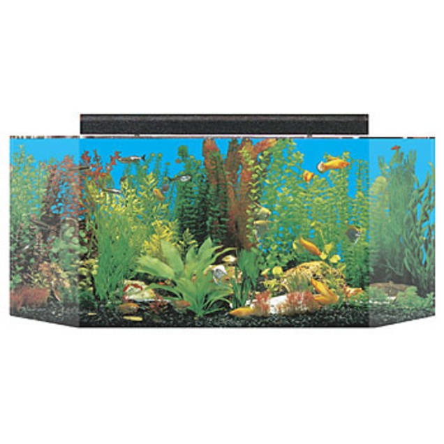 seaclear 26 gallon flatback hexagon aquarium combo clear