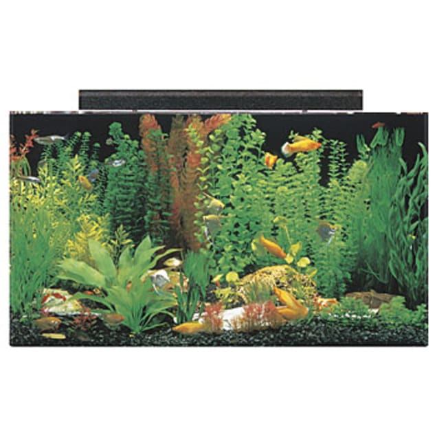 seaclear 50 gallon rectangular aquarium combo black