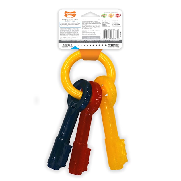 Nylabone Puppy Teething Key Chew Toys for Dog Large Petco