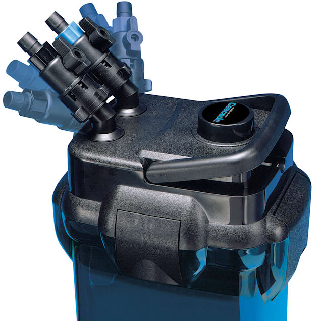 Penn plax cheap cascade canister