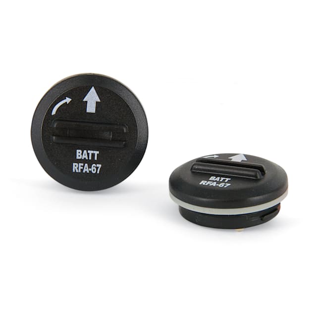 6 volt battery replacement online