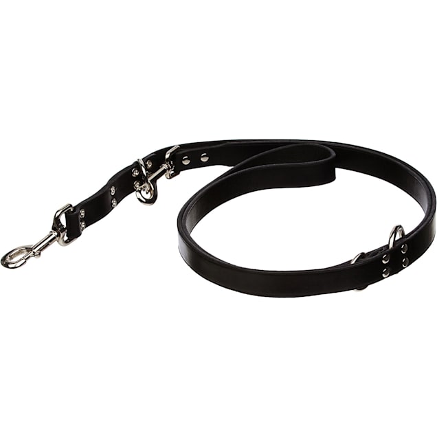 Circle T Euro Leather Dog Leash in Black