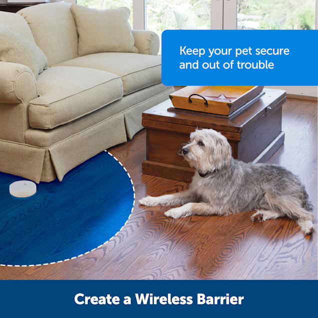 Petco vibrating dog collar online