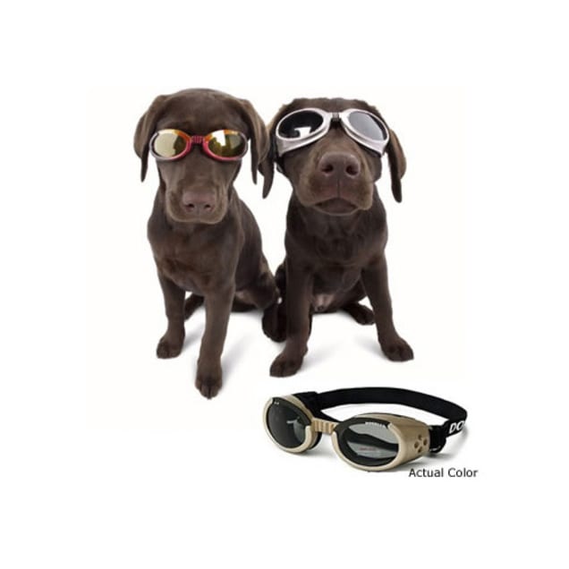 Dog goggles petco deals