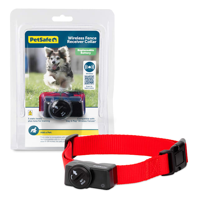 Petsafe extra wireless cheap receiver collar