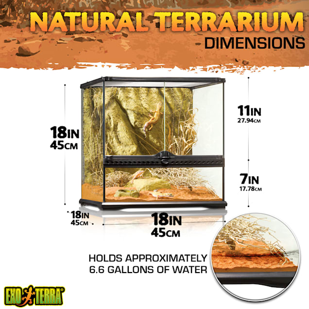 Exo-Terra Glass Terrarium, 18" L X 18" X 18" | Petco