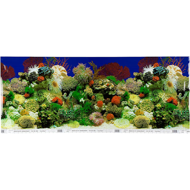 petco double sided aquarium background for 30 75 gallon tanks