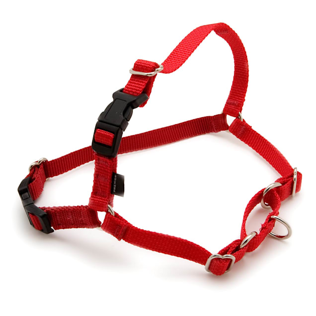 PetSafe Easy Walk Red Dog Harness, Medium - Carousel image #1