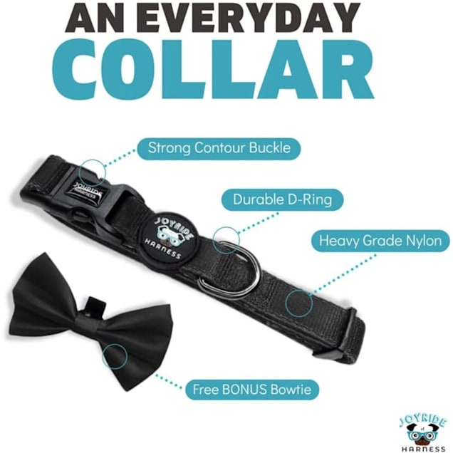 Petco dog bow tie top