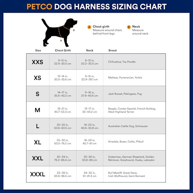 Violet Gloomy To Withdraw Dog Harness Medium Size Country Diagonal Time Table