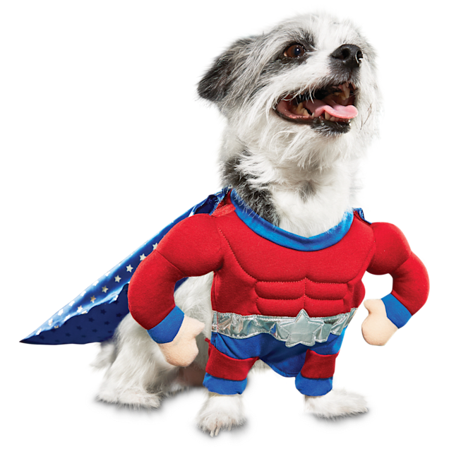 Petco Halloween Costumes 2022 Top 10 Best Dog Halloween Costumes Petco