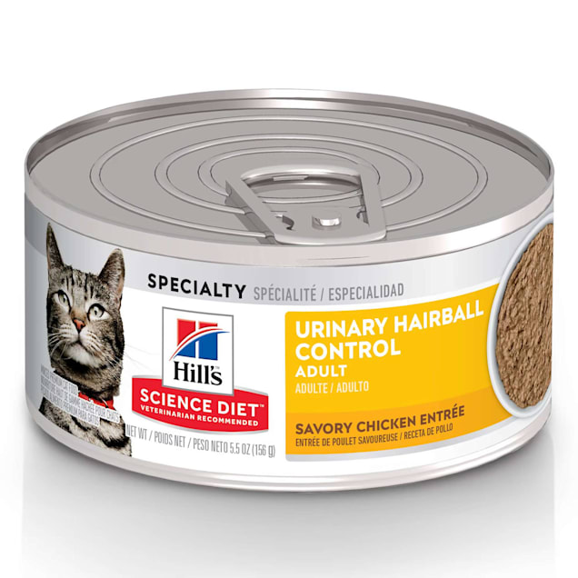 Best kind of hot sale wet cat food