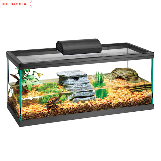 Zilla Aquatic Turtle Aquarium Kit, 20 Long | Petco