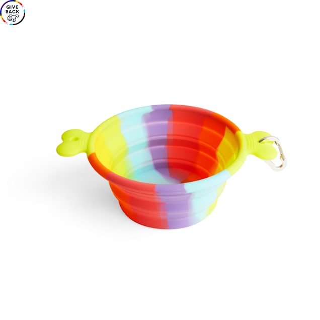 YOULY Pride Travel Dog Bowl, 3 Cups - Carousel image #1