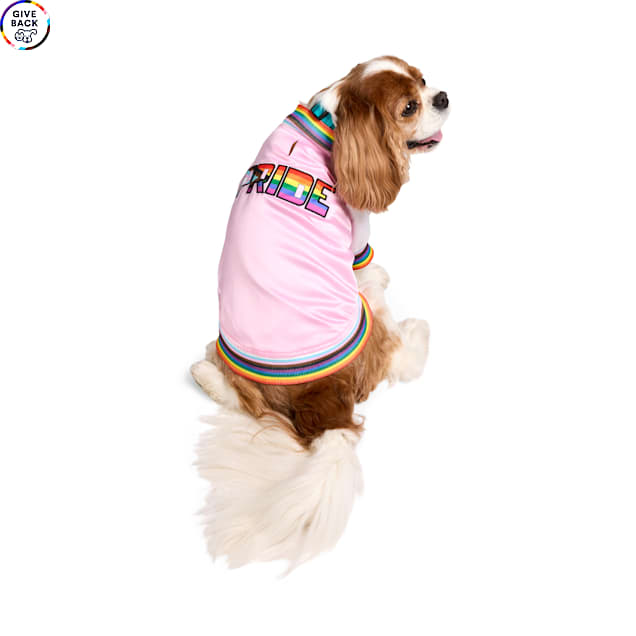 YOULY Pride Pet Bomber Jacket, Pink, X-Small - Carousel image #1