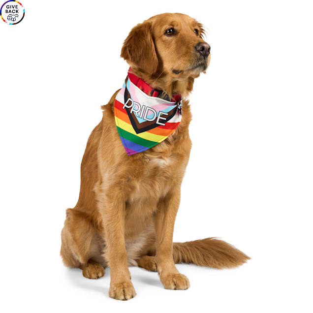 YOULY Pride Progress Dog Bandana, Rainbow, X-Small/Small - Carousel image #1