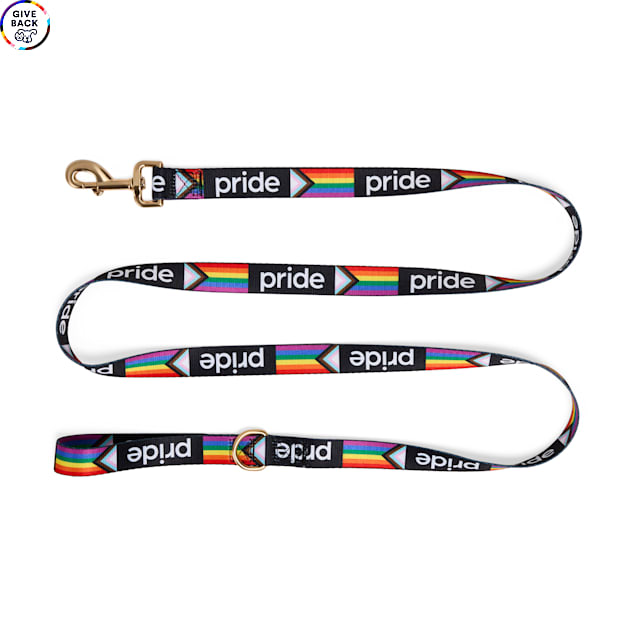YOULY Pride Dog Leash, 6' - Carousel image #1