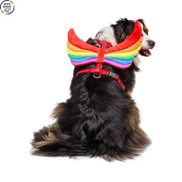 YOULY Pride Wings Dog Harness Attachment, Small/Medium - Carousel image #1