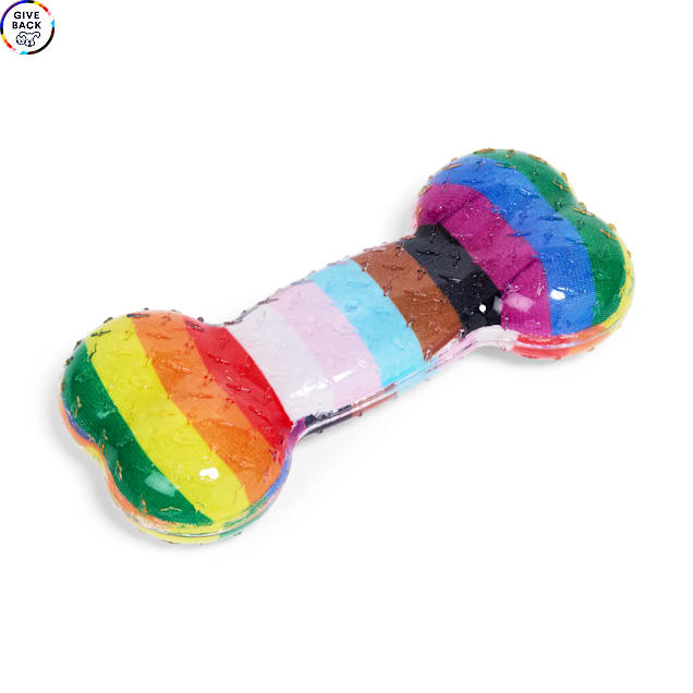 YOULY Pride TPR Bone Dog Toy, Medium - Carousel image #1