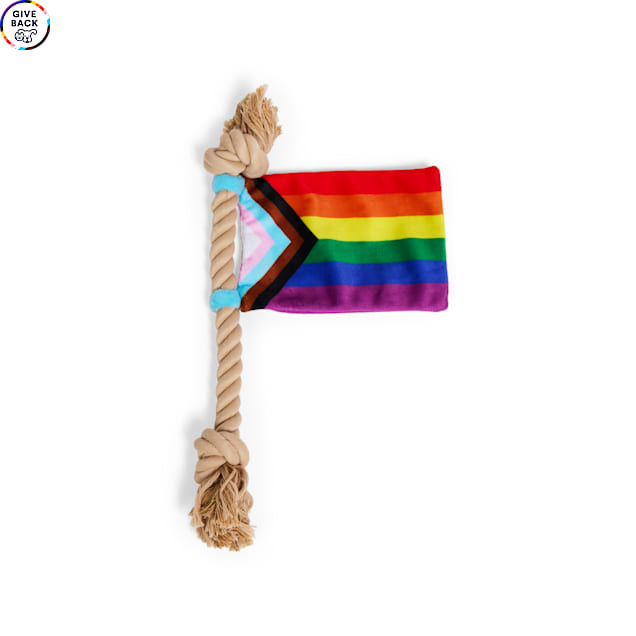 YOULY Pride Progress Flag Rope Flattie Dog Toy, Medium - Carousel image #1