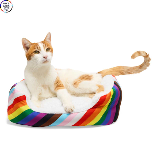 EveryYay Essentials Pride Rainbow Rectangle Cat Bed, Small - Carousel image #1