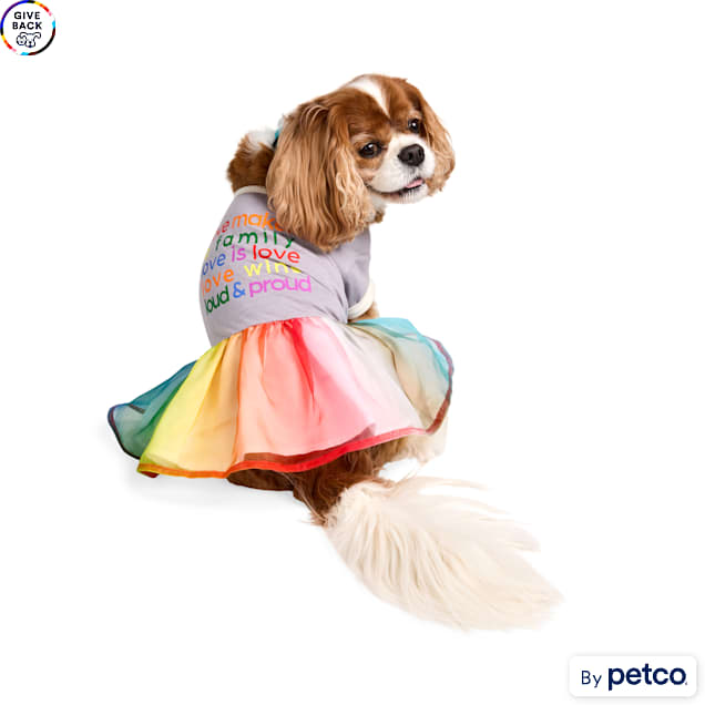 YOULY Pride Pet Tutu Dress, Rainbow, X-Small - Carousel image #1