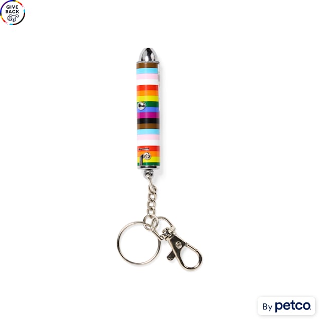 YOULY Pride Laser Pointer Cat Toy - Carousel image #1