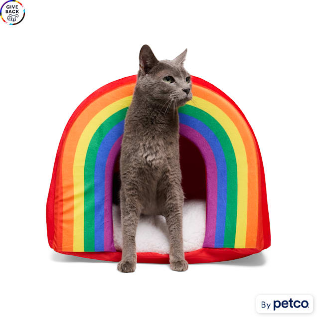 YOULY Pride Rainbow Pet Bed, 18" L X 12" W X 14" H, Rainbow - Carousel image #1
