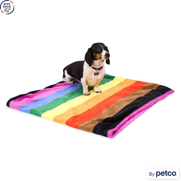 YOULY Pride Pet Throw, 60" L X 50" W, Rainbow - Carousel image #1
