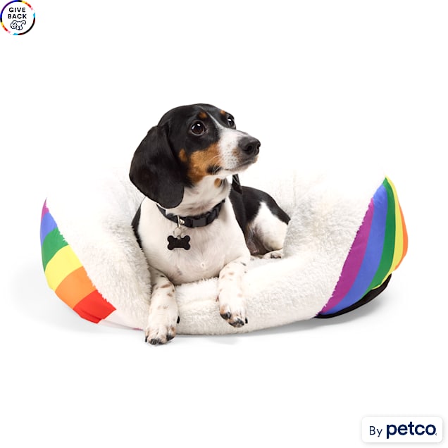 EveryYay Essentials Pride Oval Cuddler Dog Bed, 23" L X 17" W X 7" H, Rainbow - Carousel image #1