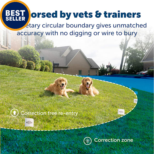 Petsafe Stay Play Compact Wireless Fence For Dogs Petco