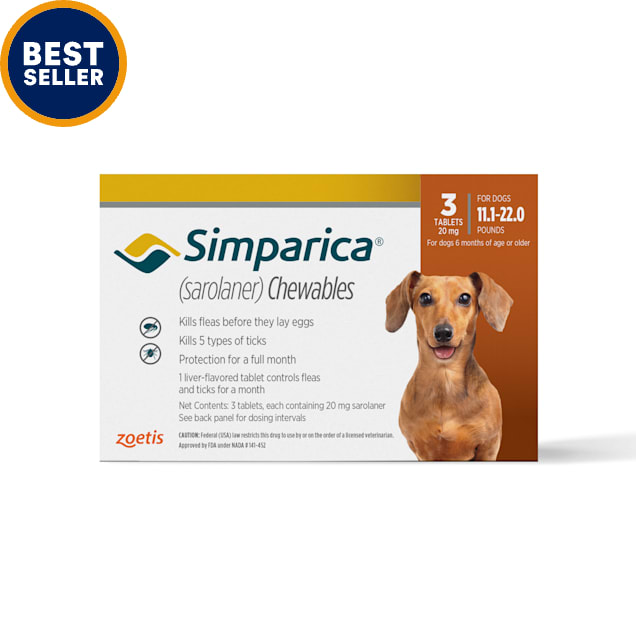 Dog food poisoning remedy 2025