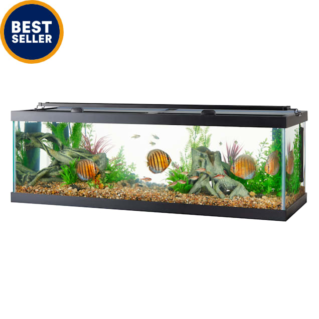 Aqueon Rectangle Aquarium 60 Breeder Tank, 48.5" L X 18.5" W X 16.25" H