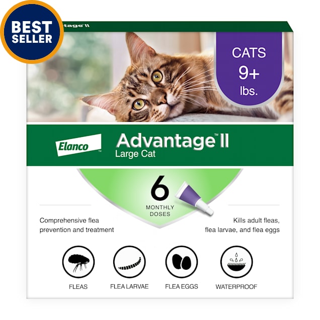 flea treatment for cats prescription